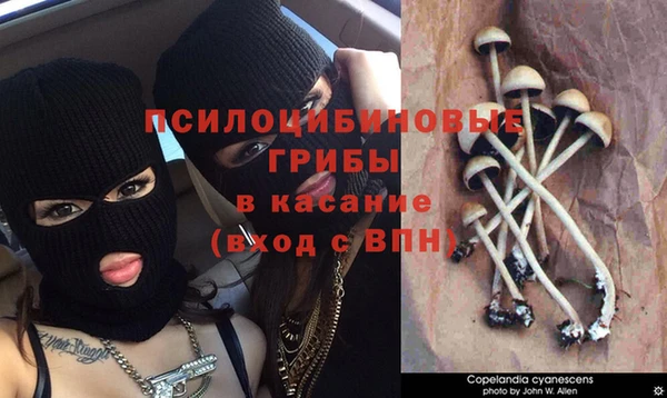 ешки Белоозёрский