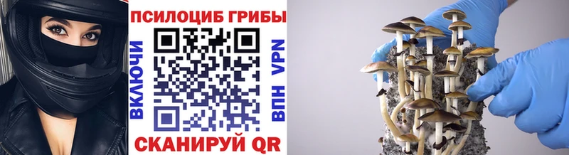 Псилоцибиновые грибы GOLDEN TEACHER  Курильск 